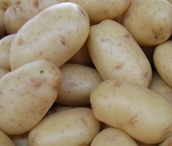 patatas viejas